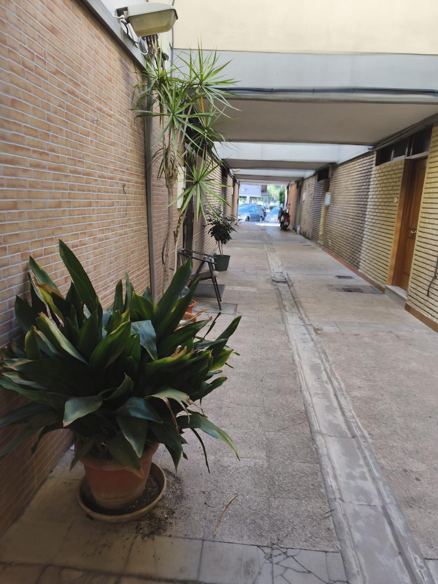 Alrededores