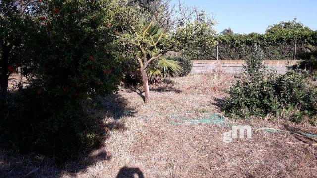 Venta de terreno en Sanlúcar de Barrameda