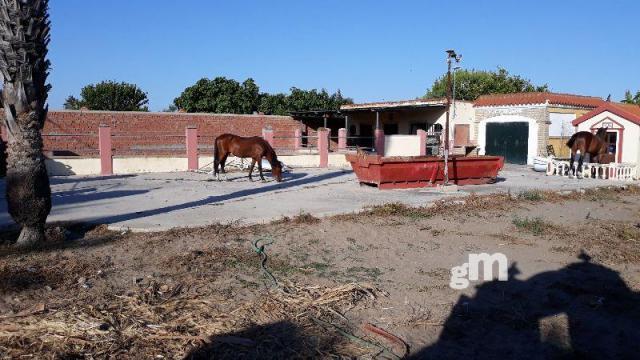 Venta de terreno en Sanlúcar de Barrameda