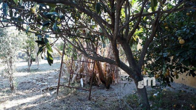 Venta de terreno en Sanlúcar de Barrameda