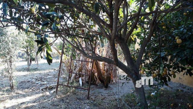 Venta de terreno en Sanlúcar de Barrameda