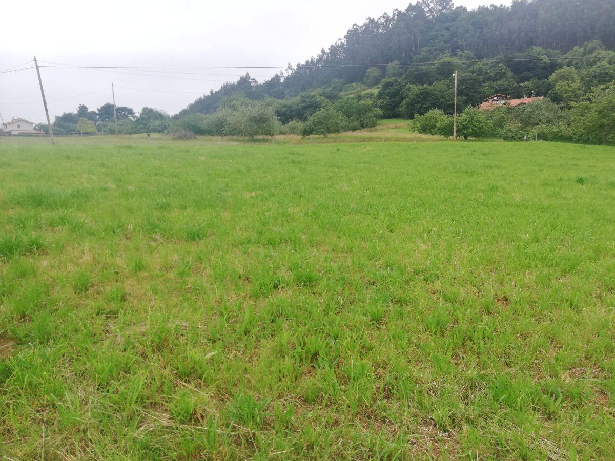 For sale of land in Villaviciosa