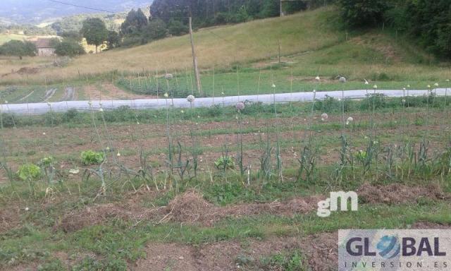 Venta de casa en Villaviciosa