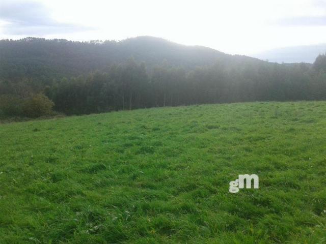 Venta de terreno en Cudillero Concejo