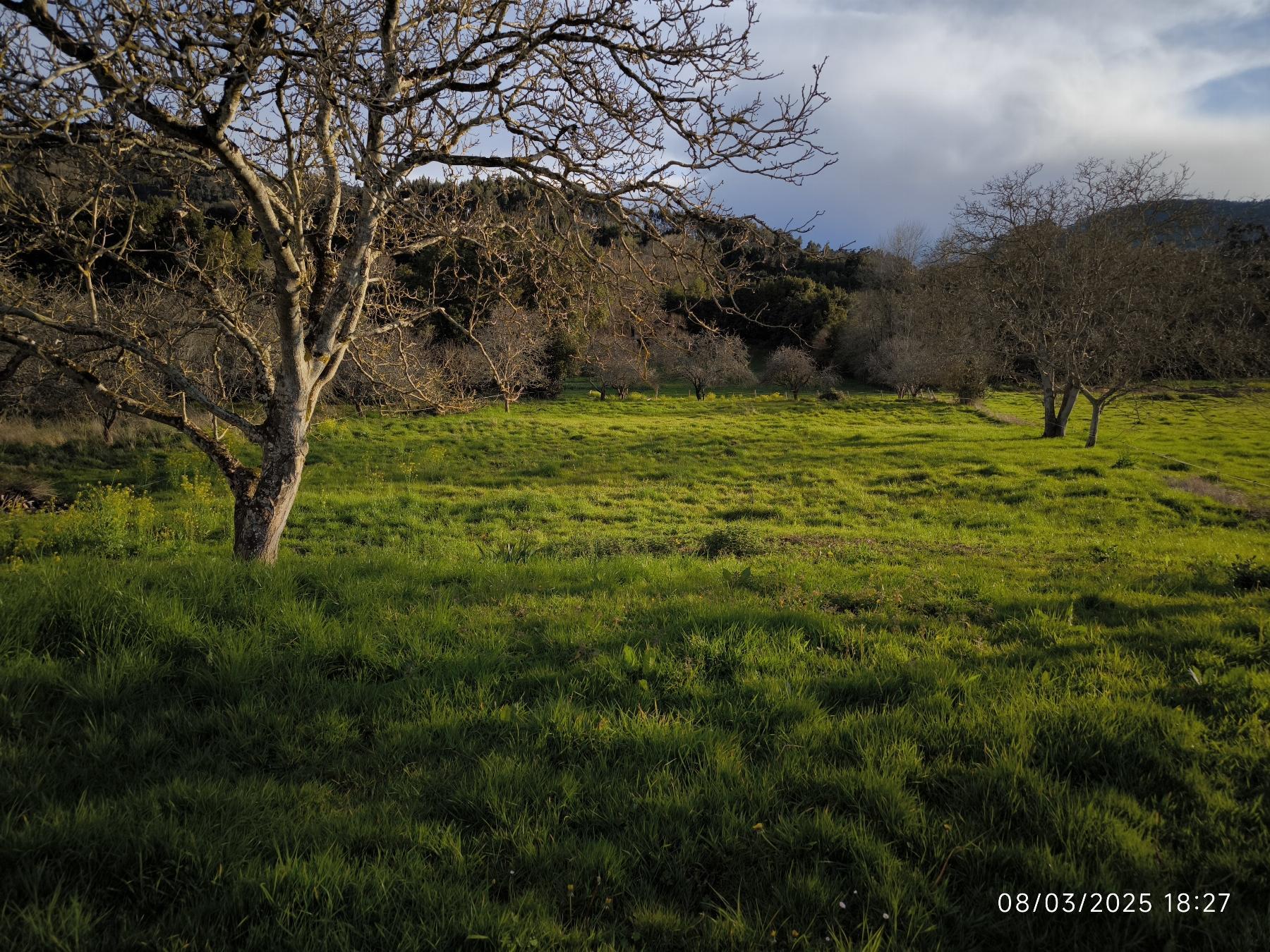 Venta de chalet en Villaviciosa