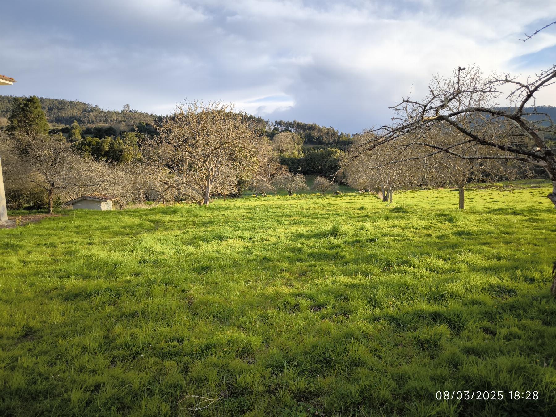Venta de chalet en Villaviciosa