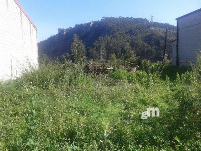 For sale of land in Carreño