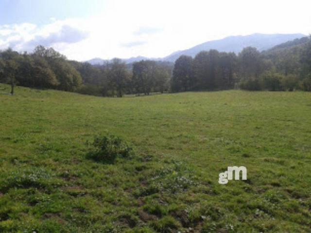 For sale of rural property in Piloña