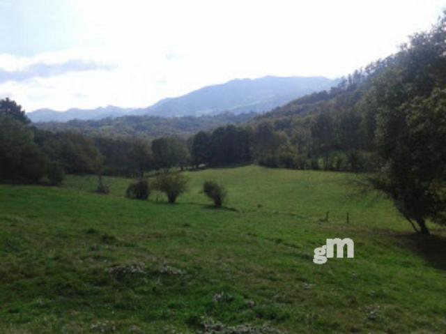 For sale of rural property in Piloña