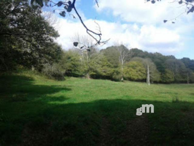 For sale of rural property in Piloña