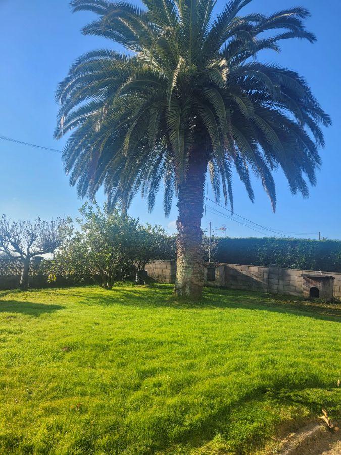 For sale of house in Villaviciosa