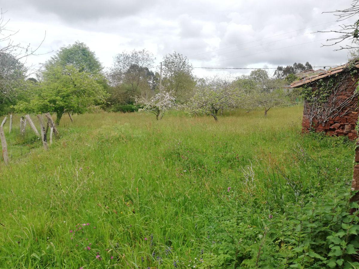 Venta de terreno en Villaviciosa