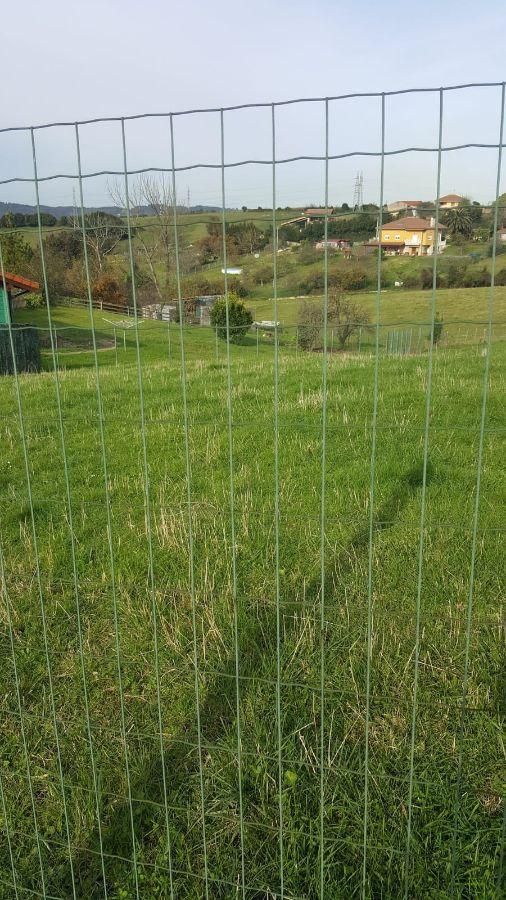 For sale of land in Gijón