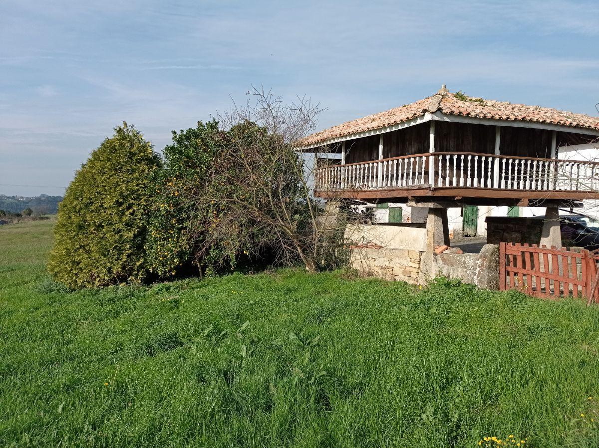 For sale of house in Villaviciosa