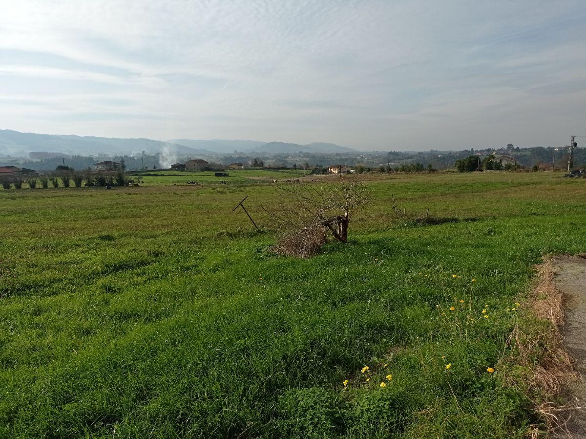 For sale of house in Villaviciosa