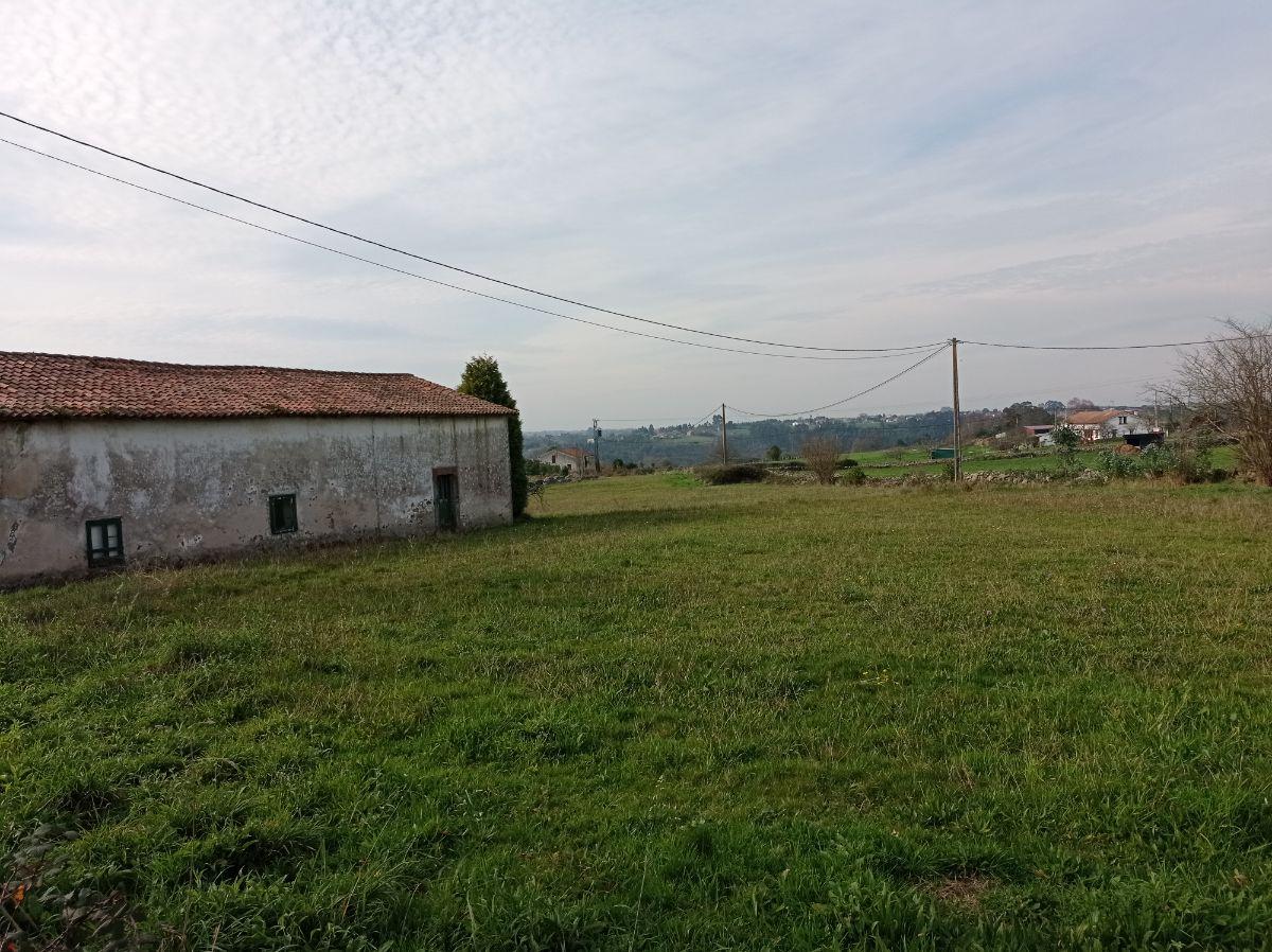 For sale of house in Villaviciosa