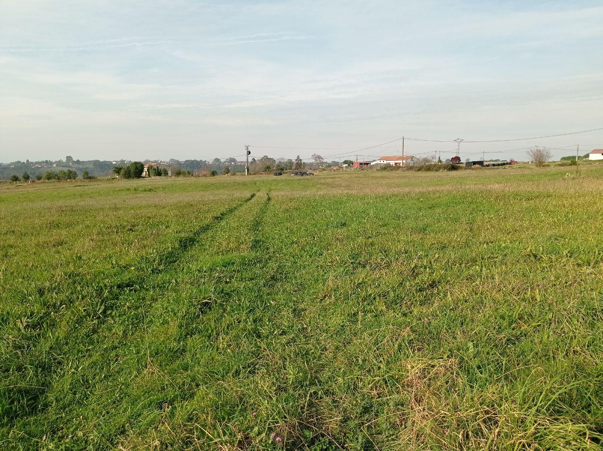 For sale of house in Villaviciosa