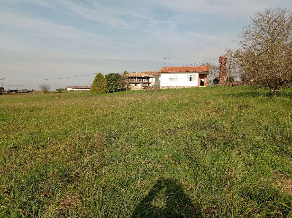 For sale of house in Villaviciosa