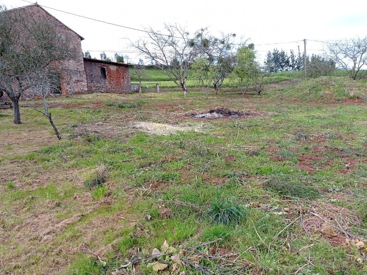 For sale of land in Carreño