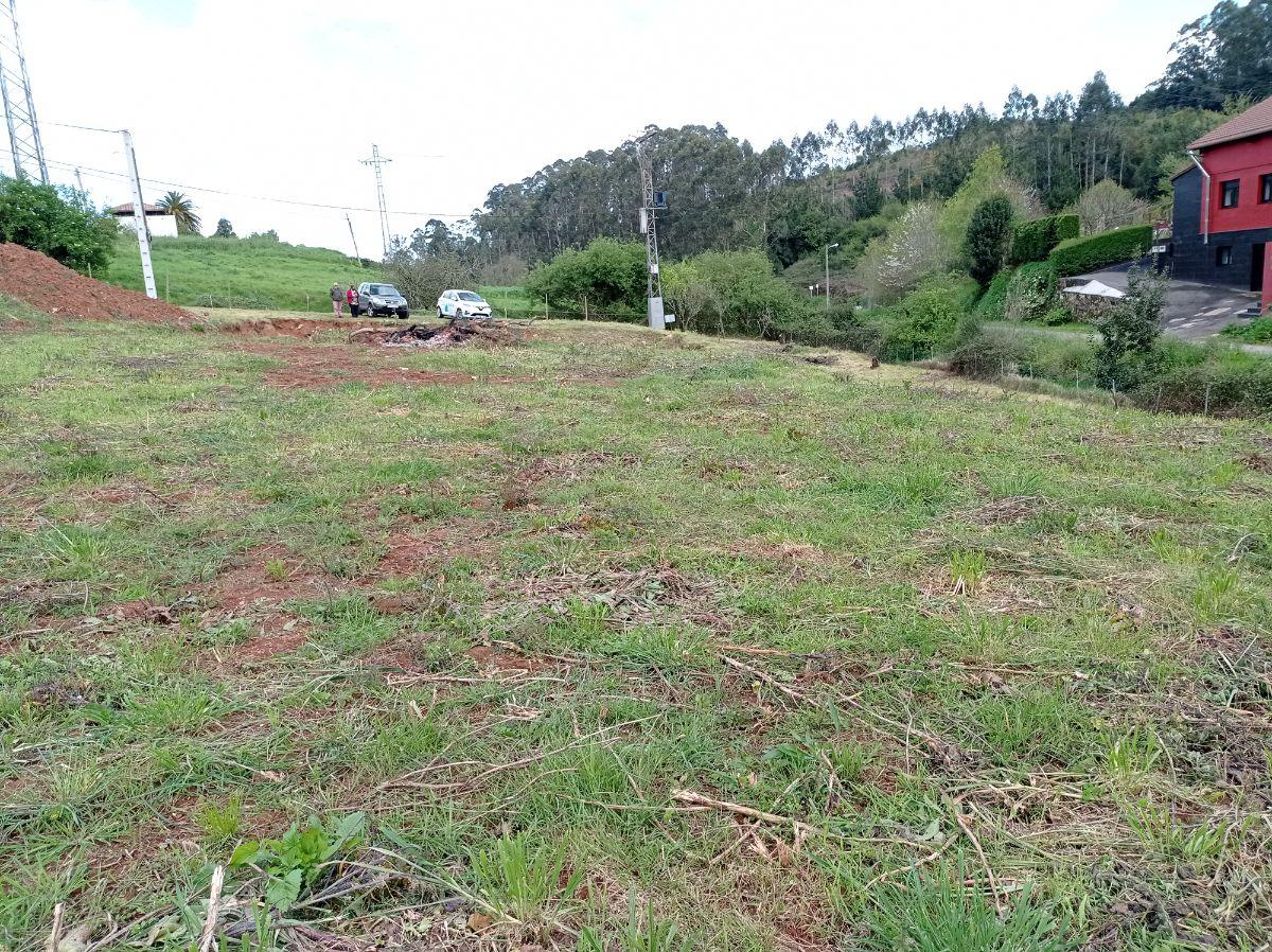 For sale of land in Carreño