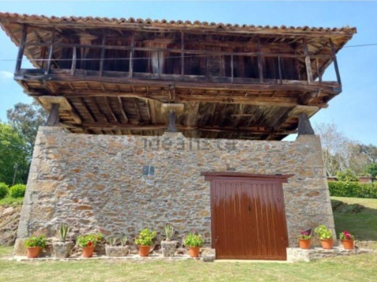 For sale of house in Pravia