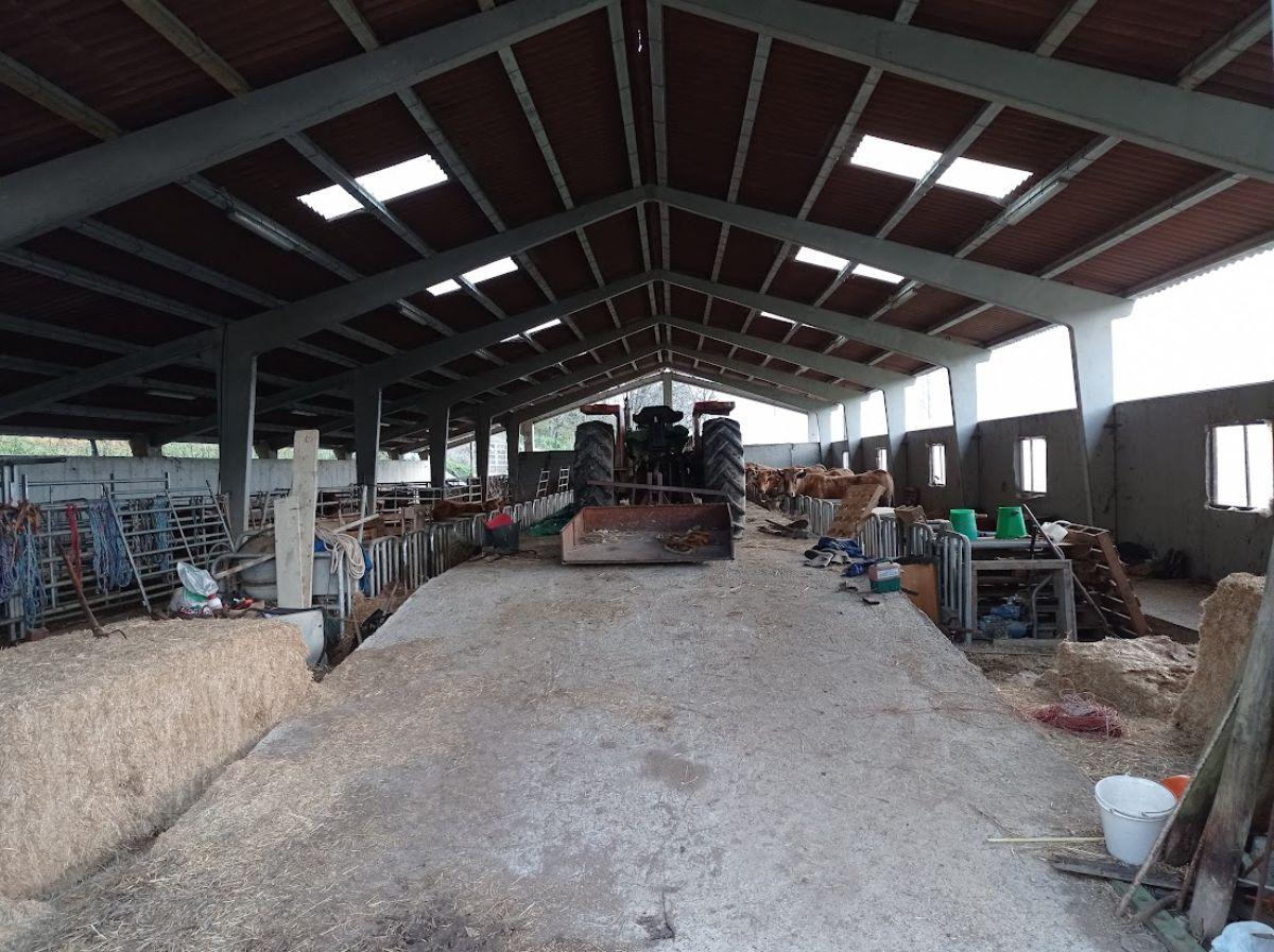 Venta de nave industrial en Villaviciosa
