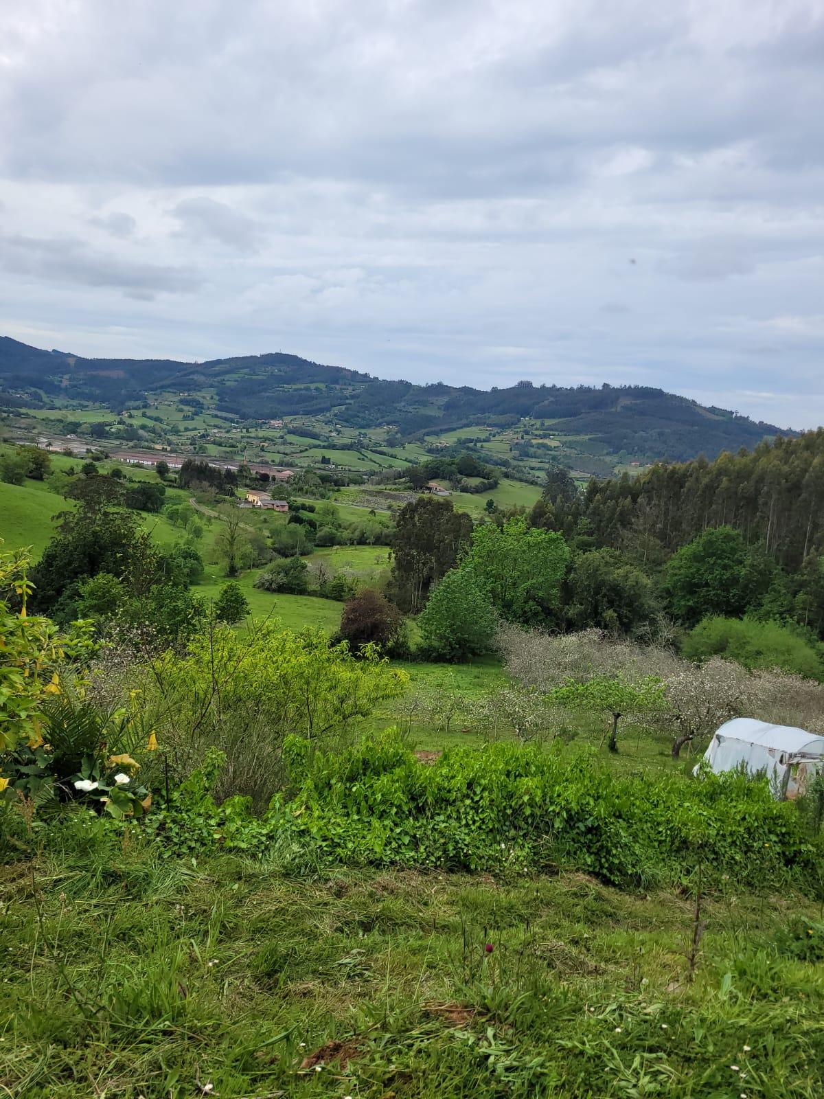 For sale of house in Villaviciosa