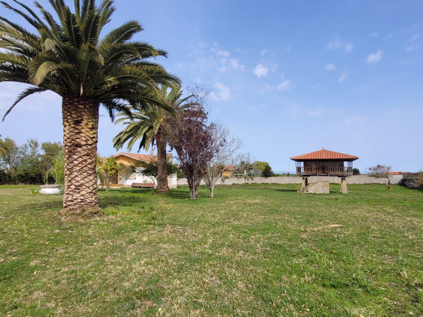 For sale of house in Villaviciosa