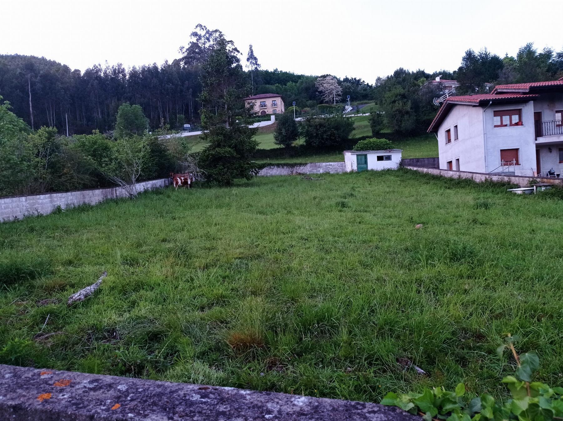 For sale of land in Villaviciosa