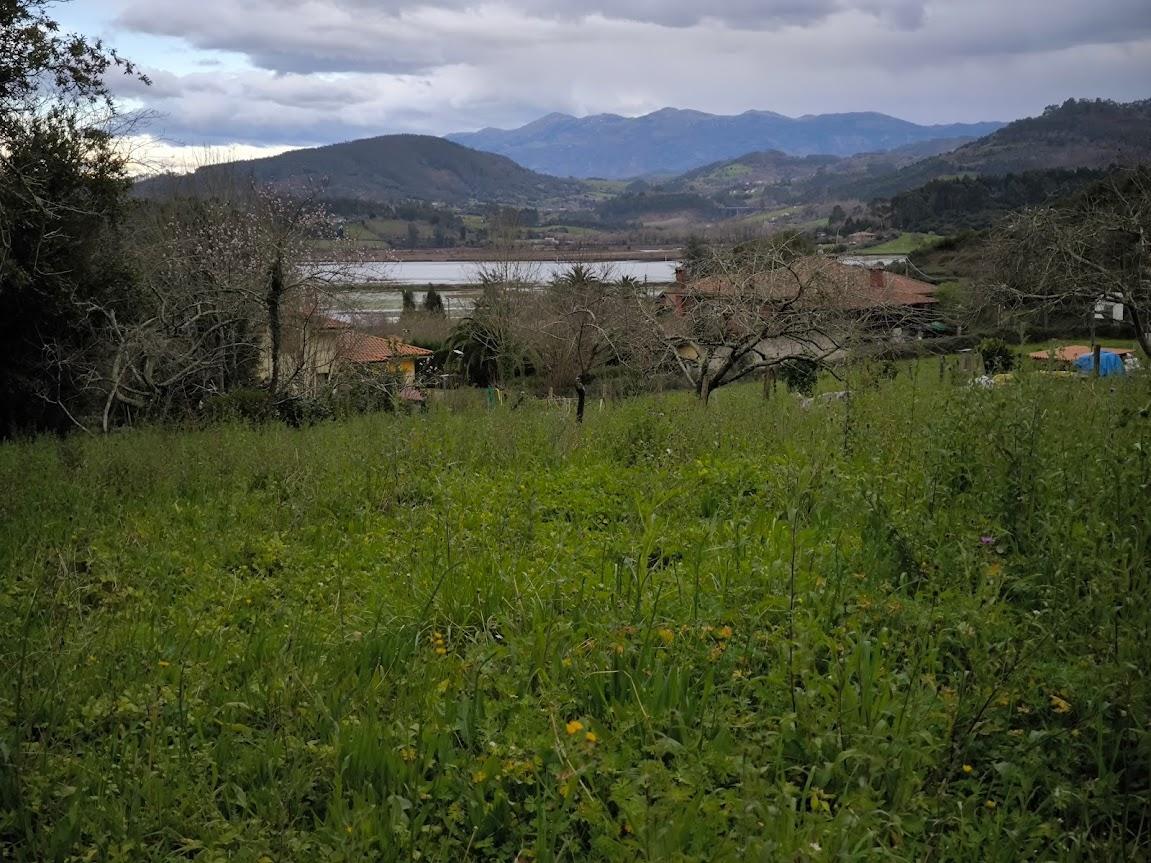 For sale of land in Villaviciosa