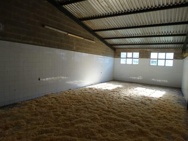 Venta de finca rústica en Colunga Concejo Venta de finca rústica en Colunga Concejo