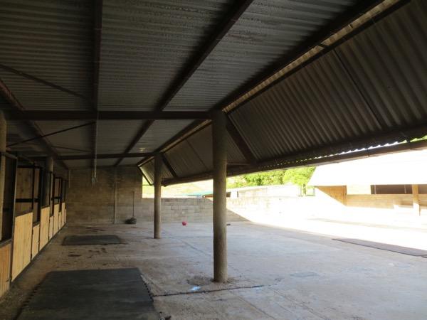 Venta de finca rústica en Colunga Concejo Venta de finca rústica en Colunga Concejo