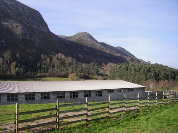 Venta de finca rústica en Colunga Concejo Venta de finca rústica en Colunga Concejo