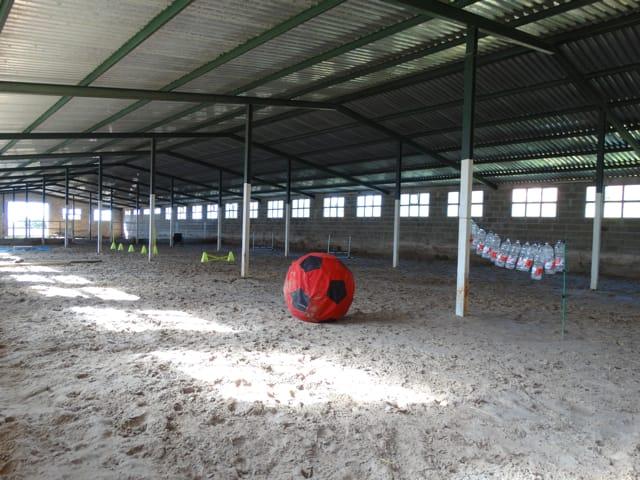 Venta de finca rústica en Colunga Concejo Venta de finca rústica en Colunga Concejo