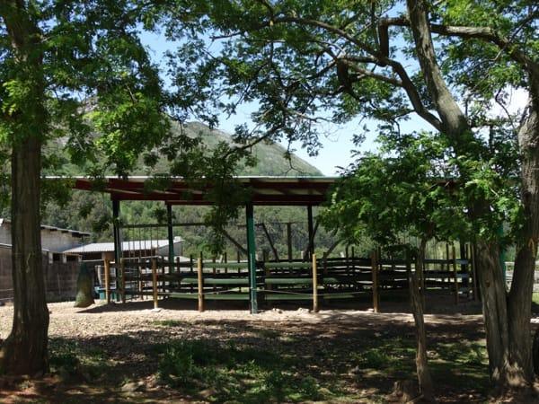 Venta de finca rústica en Colunga Concejo