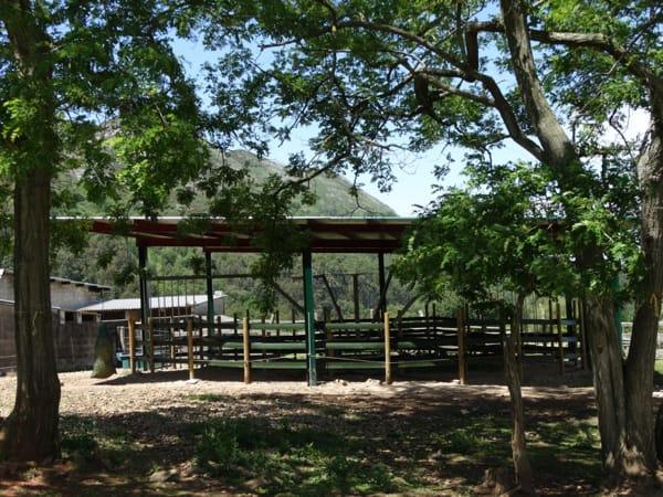 Venta de finca rústica en Colunga Concejo Venta de finca rústica en Colunga Concejo