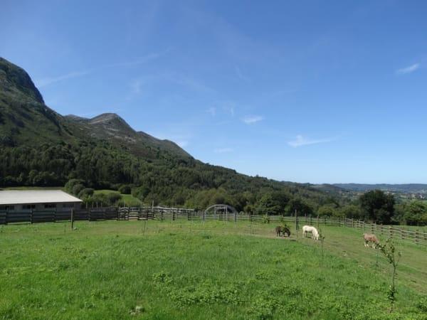 Venta de finca rústica en Colunga Concejo