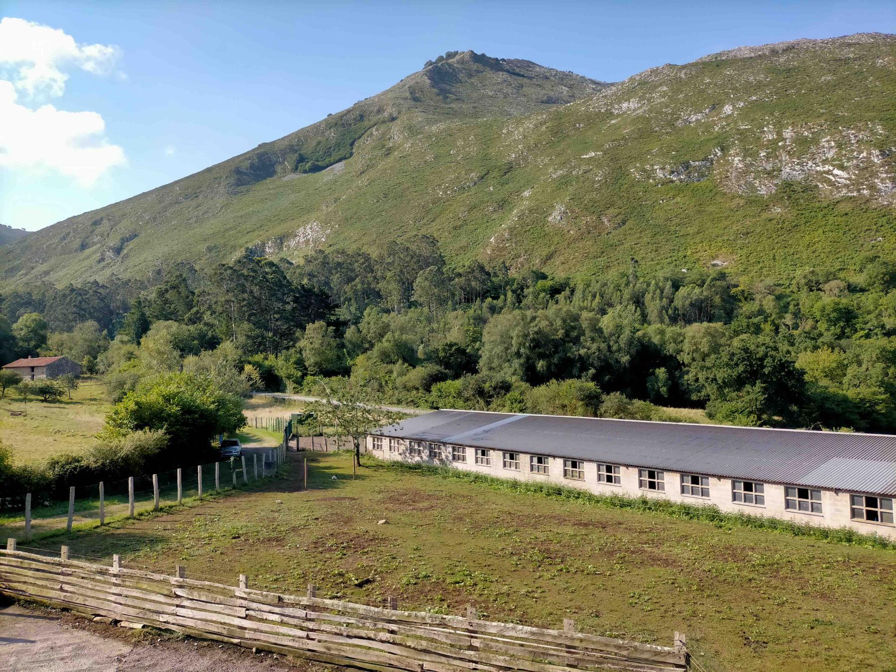 Venta de finca rústica en Colunga Concejo Venta de finca rústica en Colunga Concejo