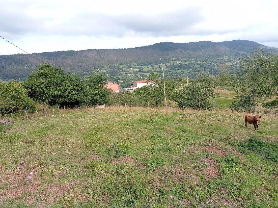 Terreno en alquiler en principal, Villaviciosa