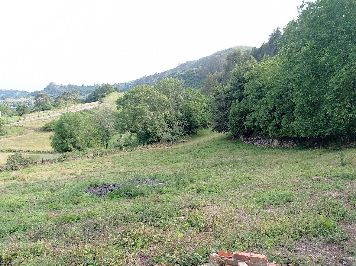 For rent of land in Villaviciosa