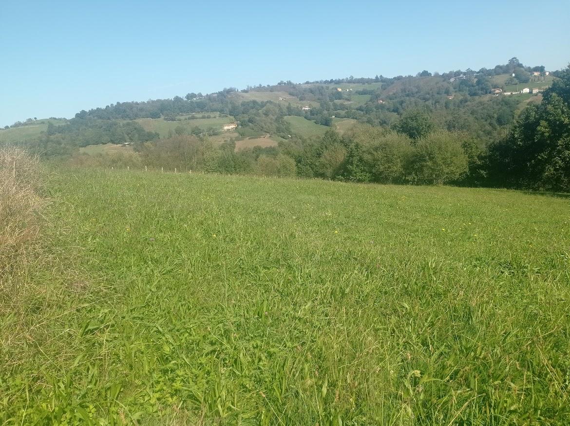 For sale of land in Bimenes