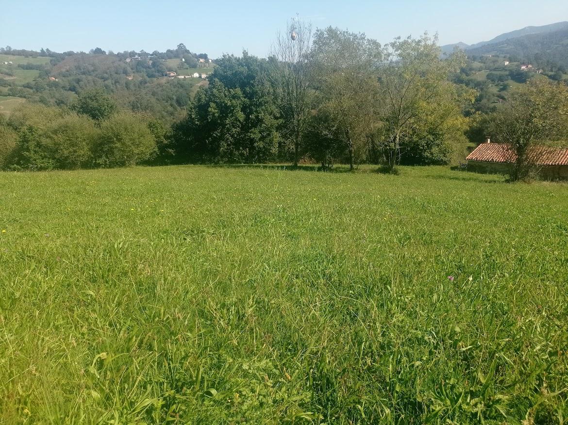 For sale of land in Bimenes