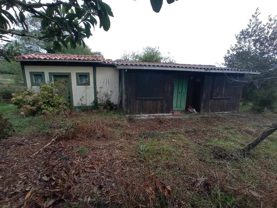 For sale of rural property in Villaviciosa