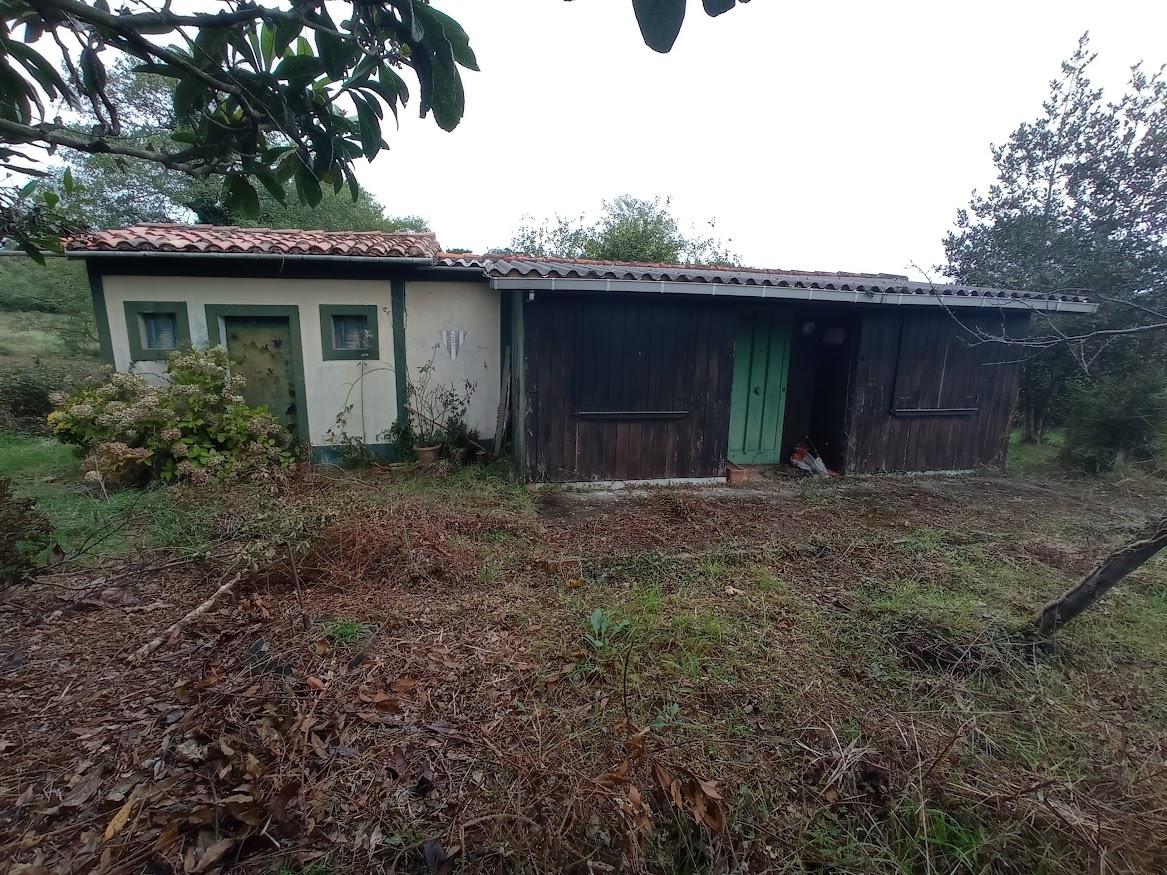 Venta de finca rústica en Villaviciosa