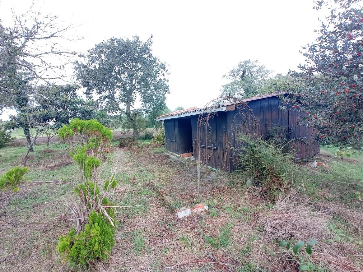For sale of rural property in Villaviciosa