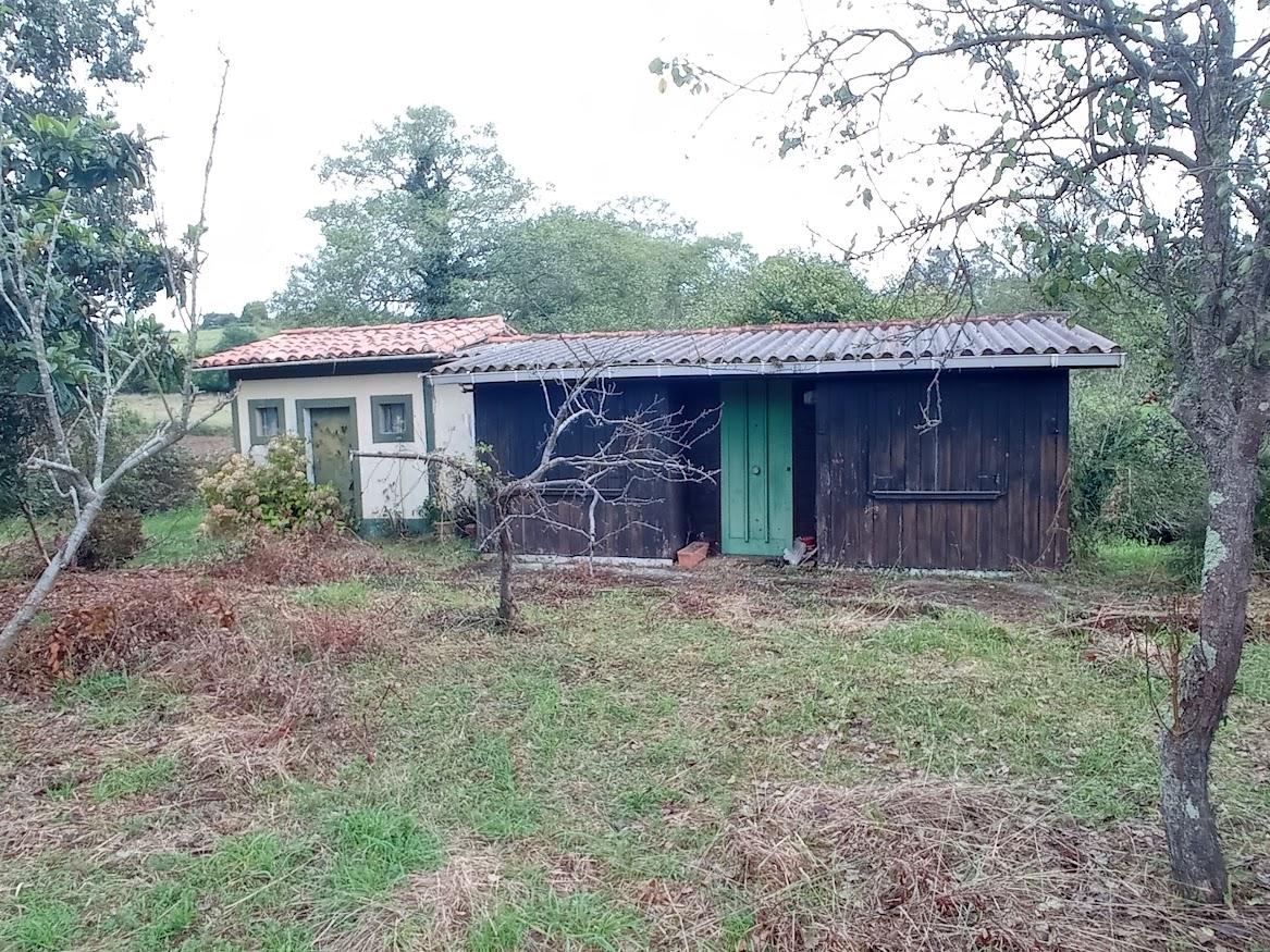 For sale of rural property in Villaviciosa