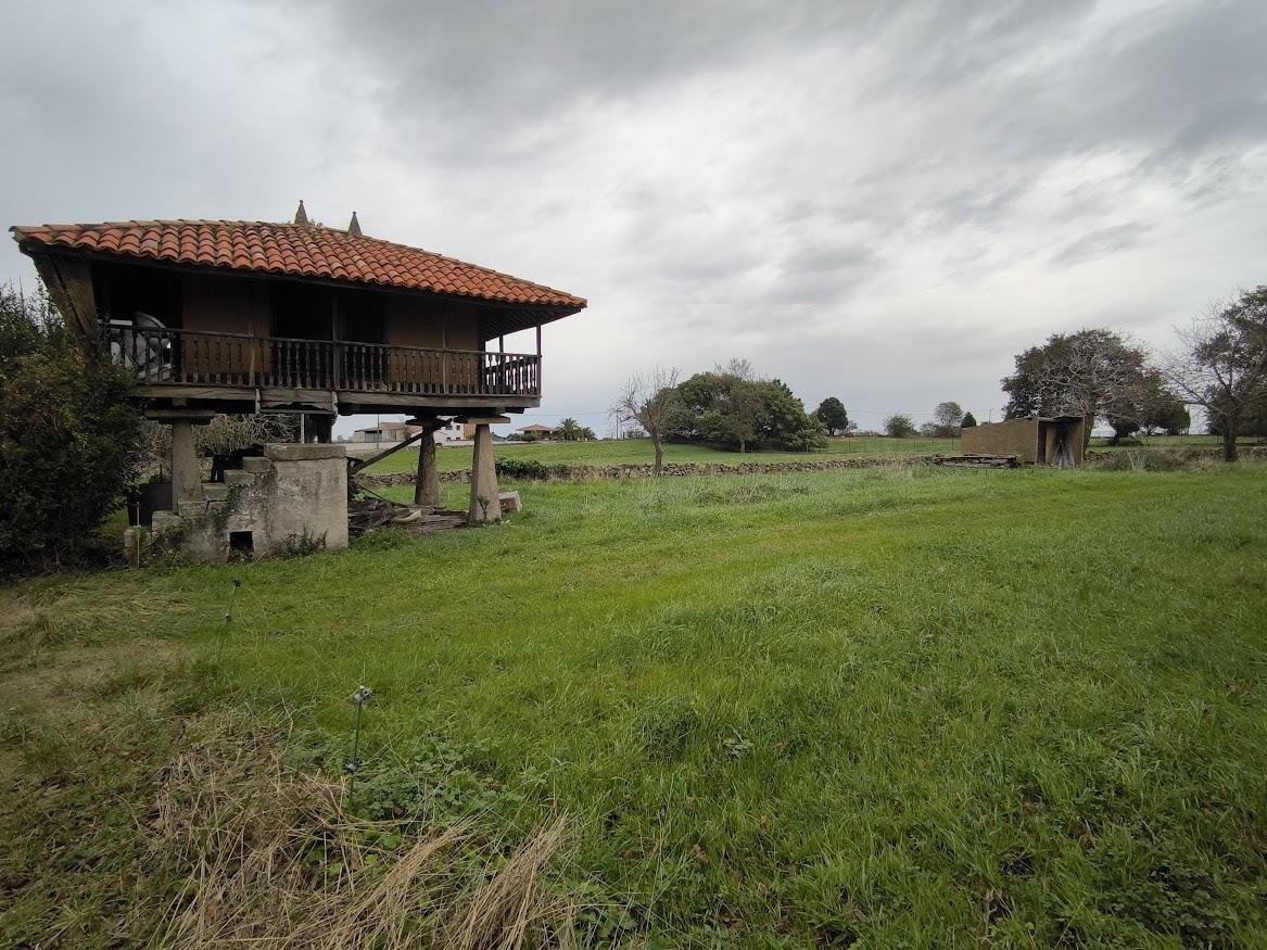 For sale of house in Villaviciosa