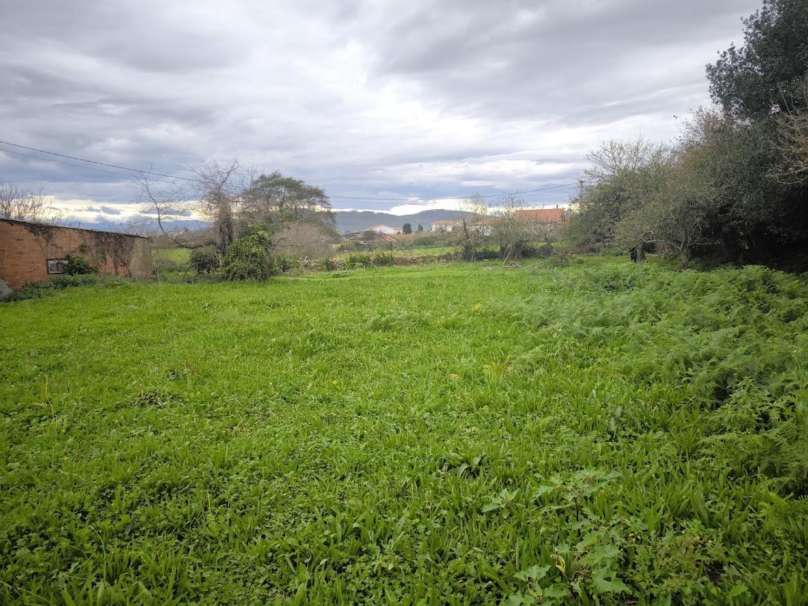 For sale of house in Villaviciosa
