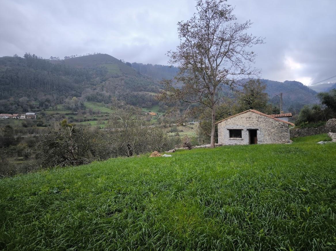 For sale of house in Villaviciosa