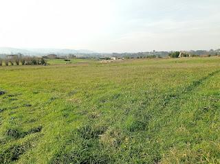 For sale of rural property in Colunga Concejo